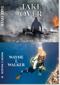 Cover of Diamonds from Destiny, Book 4, Take Over